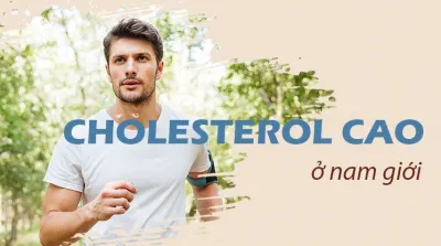 Vì sao nam giới dễ mắc cholesterol cao hơn nữ giới?